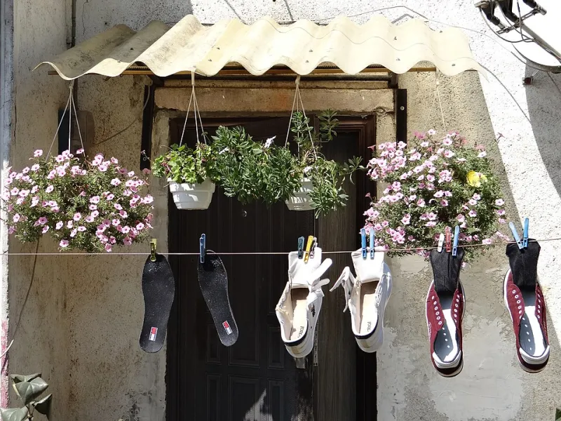 August in Suspense: The Quiet Art of Hanging Flowers Upside Down Until Winter