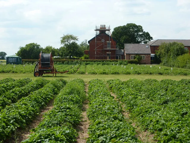 Gates Open, Snips Ready: Britain's Cut-Your-Own Flower Farms Worth a Day Trip