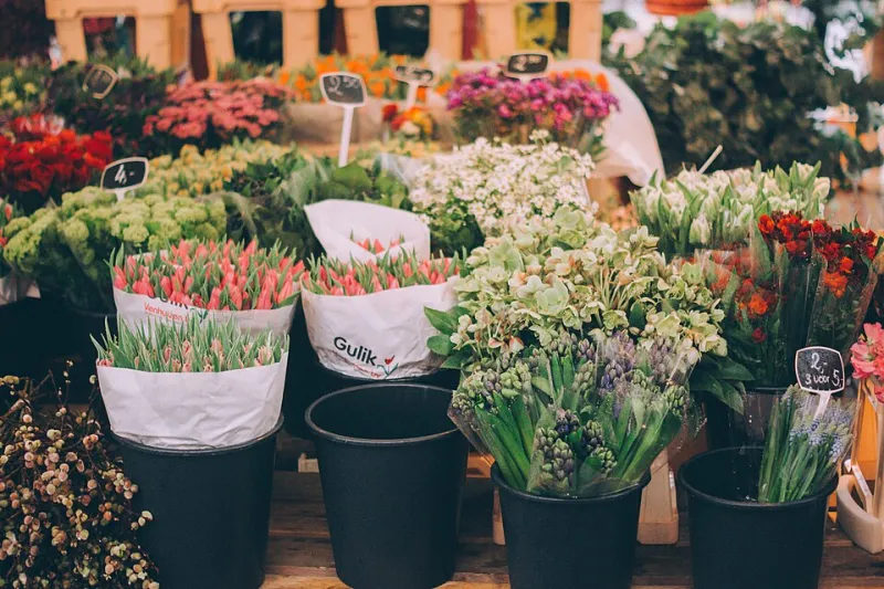 Bucket Economics: What £12 at the Flower Market Taught Me About Arranging Like a Professional