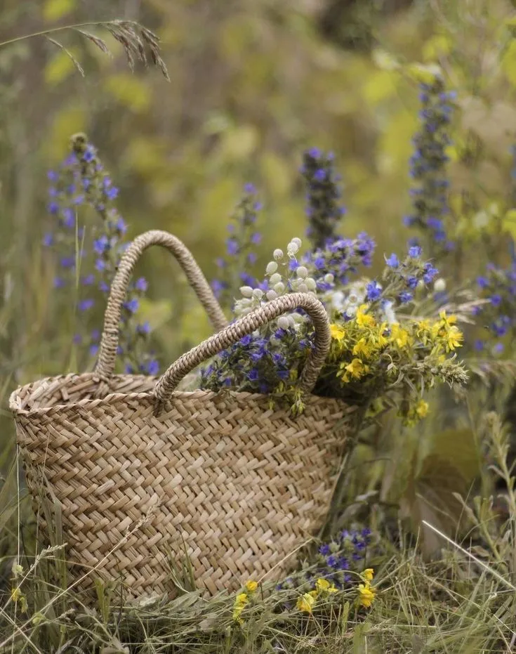 What's Free, Seasonal, and Probably Growing Down Your Lane? A Forager's Guide to British Blooms